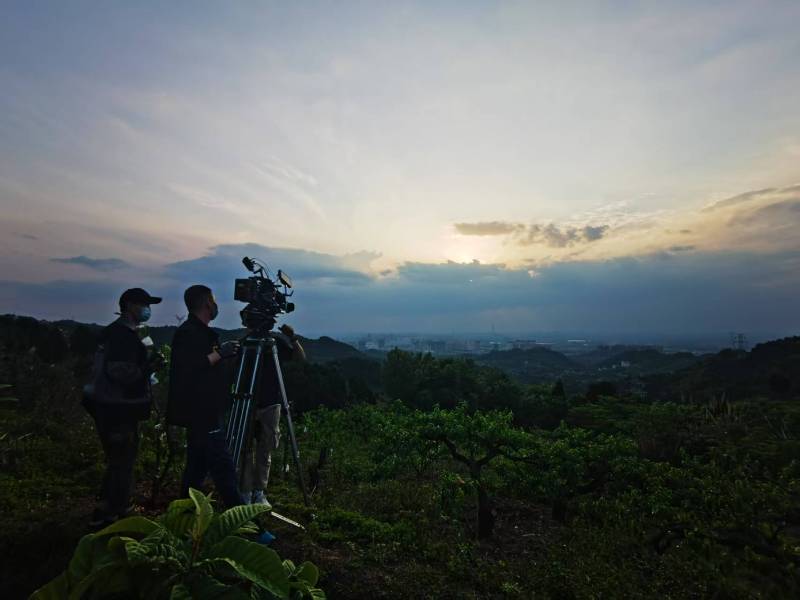 聚焦邱县产品宣传视频拍摄公司，用专业实力铸就品牌传播传奇