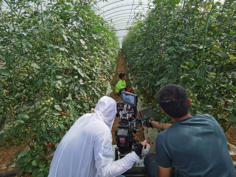 邱县产品宣传视频拍摄公司进阶指南，助力品牌抢占传播高地